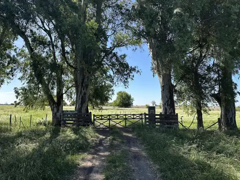 Campo en Venta en Exaltación de la Cruz. Uso mixto. Casa de 3 dorm. Ruta 193. Sup. de 75 hectáreas