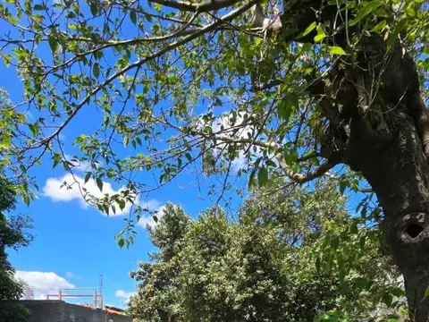 Terreno en Venta de 298,0 m2