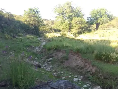 Campo en venta - 780.000Mts2 - Córdoba