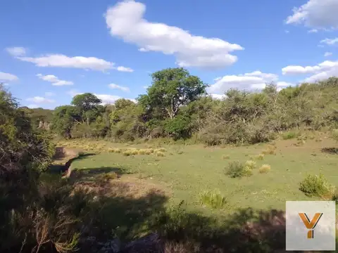 Campo en venta - 780.000Mts2 - Córdoba
