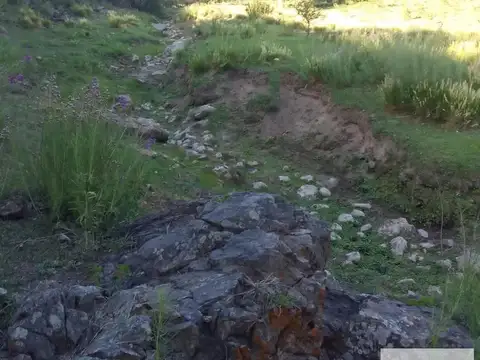 Campo en venta - 780.000Mts2 - Córdoba