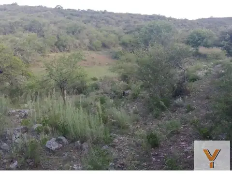 Campo en venta - 780.000Mts2 - Córdoba