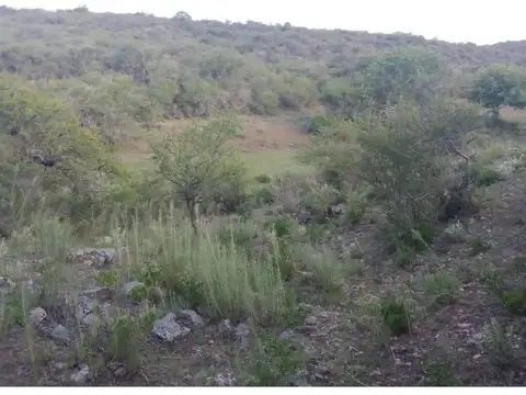 Campo en venta - 780.000Mts2 - Córdoba