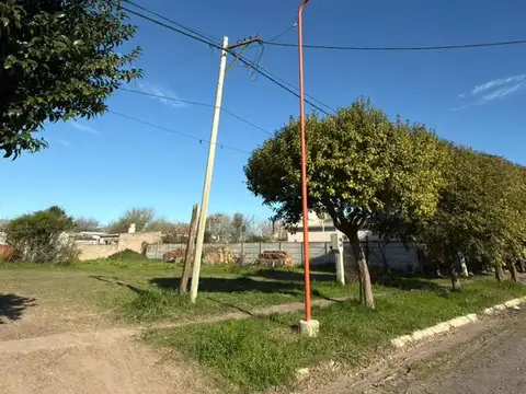 Misiónes 1000