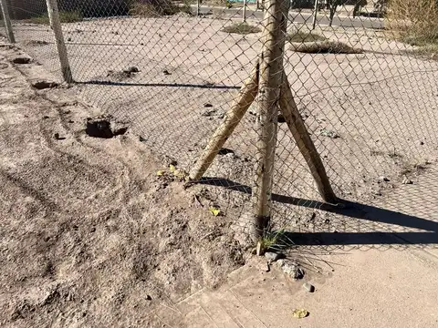 Julio Argentino Roca 5500