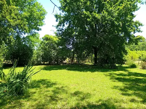 Doctor Tomás de Anchorena 1500