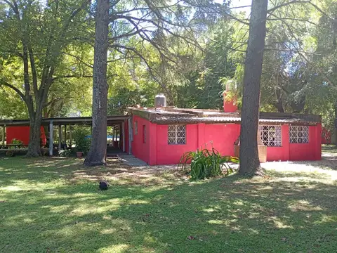 Doctor Tomás de Anchorena 1500