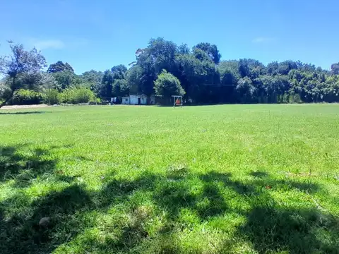 Doctor Tomás de Anchorena 1500