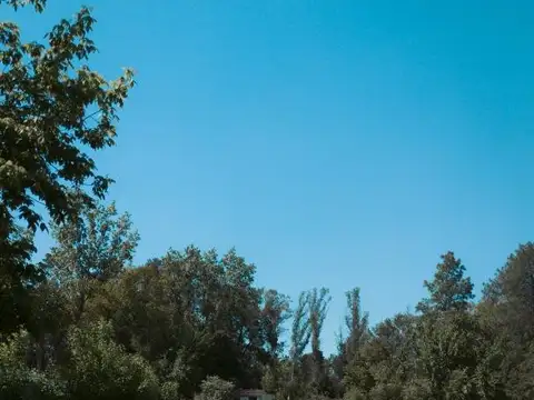 Peter Tchaicovsky 7010