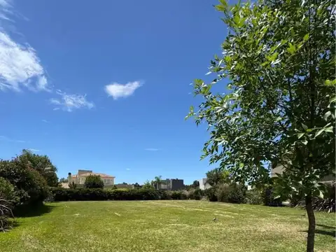Terreno lote venta Altos de Campo grande
