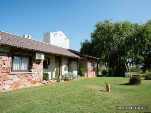 Campo en Venta en Cuadro Benegas, San Rafael