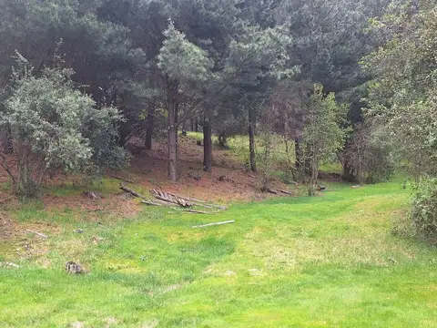 Camino a Cascada de Nahuelpan