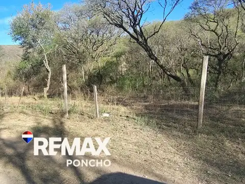 CAMINO AL MANCHADO