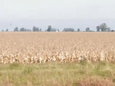 Campo en  Ramallo Paraiso