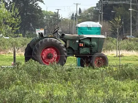 80 hectareas, ramallo, provincia de buenos aires