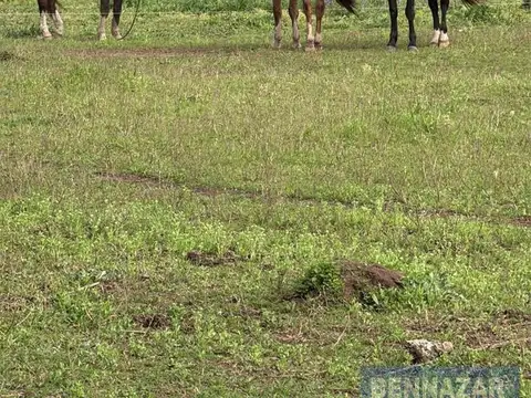 Campo en  Ramallo Paraiso