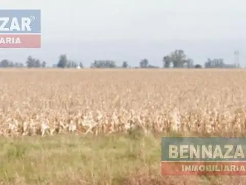 Campo en  Ramallo Paraiso
