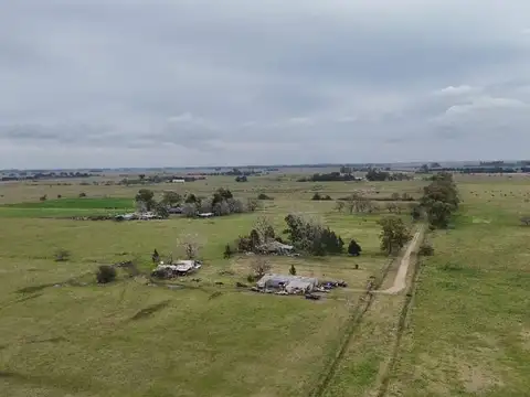 CAMPO 72 HAS ZONA BRANDSEN  AUTODROMO LA PLATA