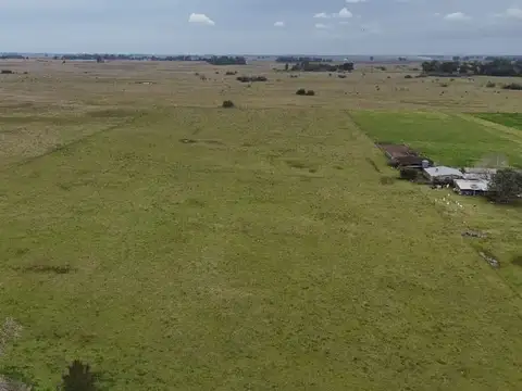 CAMPO 72 HAS ZONA BRANDSEN  AUTODROMO LA PLATA