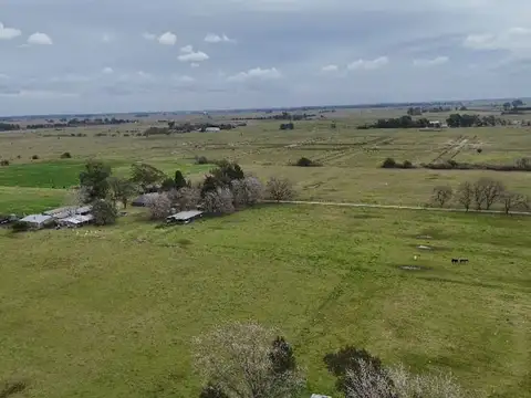 CAMPO 72 HAS ZONA BRANDSEN  AUTODROMO LA PLATA