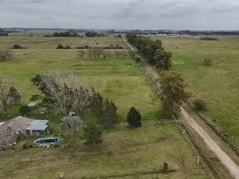 CAMPO 72 HAS ZONA BRANDSEN  AUTODROMO LA PLATA