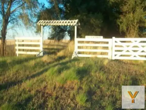 Campo en Venta en Guamini, Partido de Guaminí
