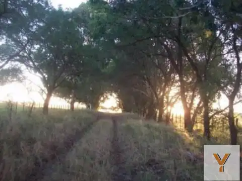 Campo en venta - 4.000.000Mts2 - Guaminí