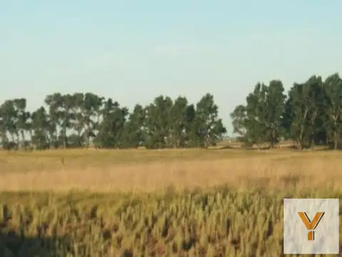 Campo en venta - 4.000.000Mts2 - Guaminí