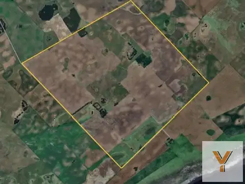 Campo en venta - 4.000.000Mts2 - Guaminí