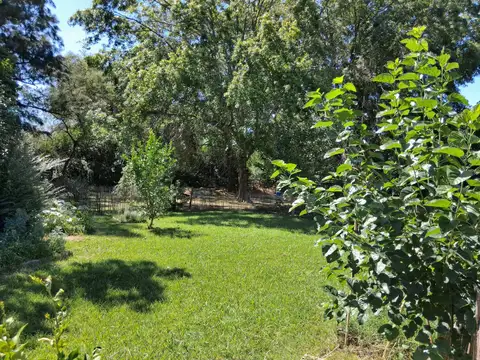 Quinta en Alquiler en Zelaya, USD 350