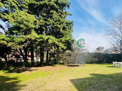 Almafuerte 3900