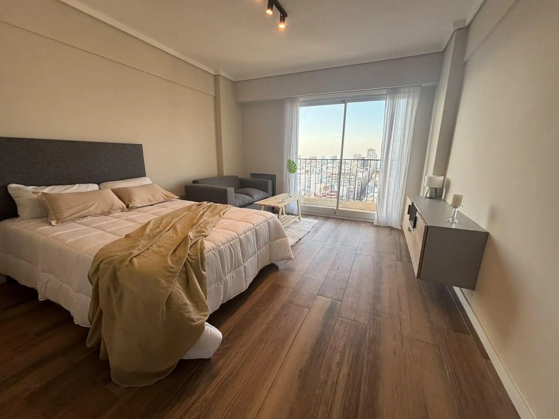 Departamento 1 ambiente dividido en Plaza Mitre