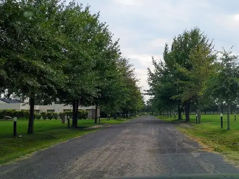 Terreno en Venta de 1000,0 m2