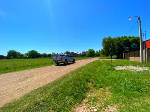 bosque azul