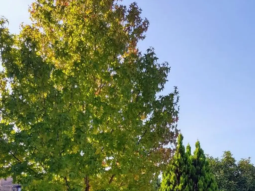 Casa en Venta en Isla Del Sol