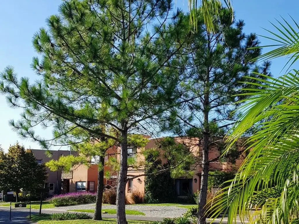 Casa en venta lote interno barrio Isla del Sol, Tigre pileta - Foto 46