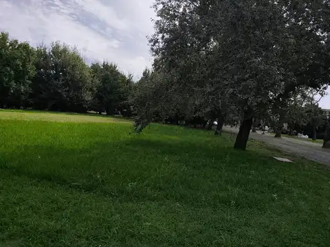 Terreno en Venta de 1281,0 m2