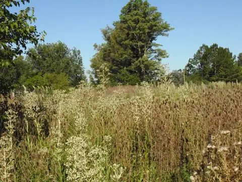 Terreno en Venta de 7353,0 m2