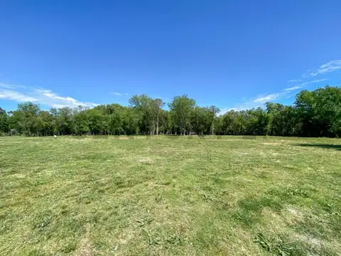 LOS ZORZALES Y LOS HORNEROS, TERRENO EN VENTA DE 3862M2, BRANDSEN, ALTURA KM52 RP2.