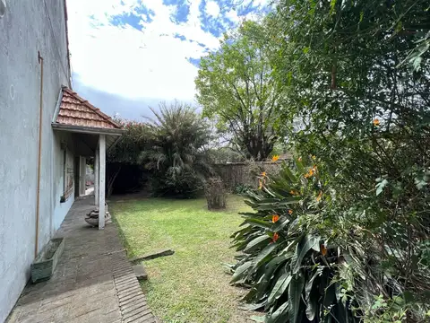 Paz 600