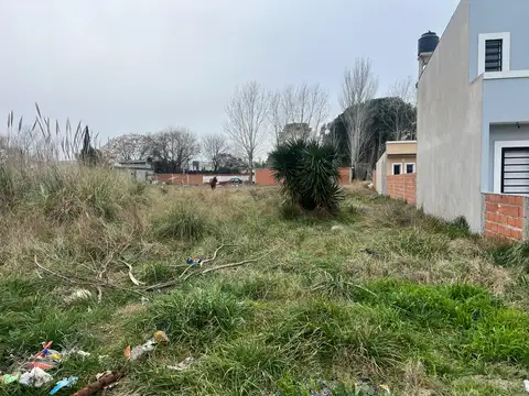 8 e/ 66 y 67, Mar del Tuyú (160812)