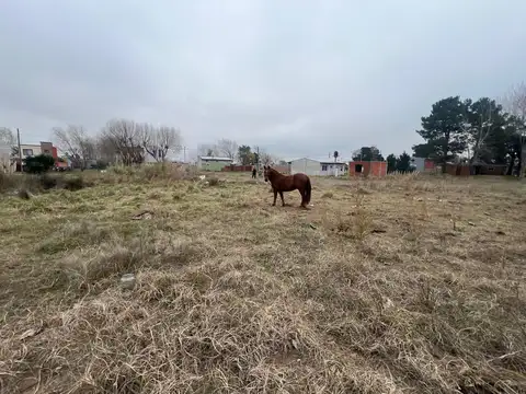 Terreno en Venta de 487,56 m2