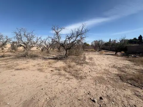 Terreno en Venta de 1782,0 m2