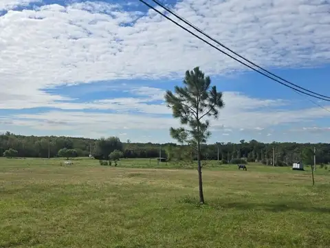 Terreno en Venta de 1080,0 m2