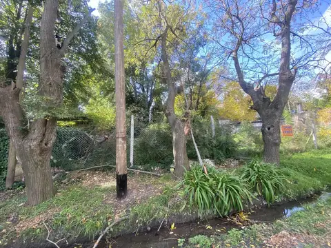 Terreno en Venta en Arturo Segui, USD 39.000