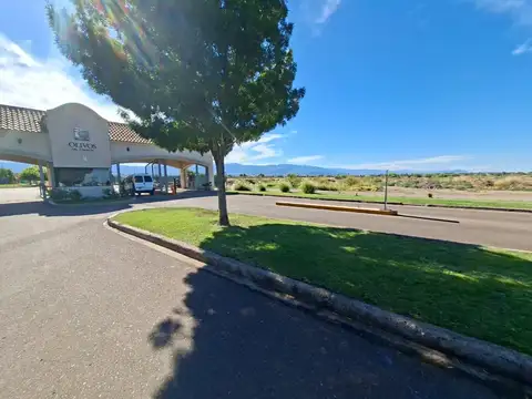 Terreno en Venta 14  mts Frente