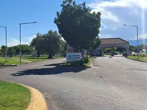 Terreno en Luzuriaga