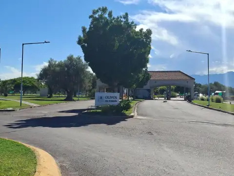 Barrio Olivos del Torreón   Mzna G Lote 12