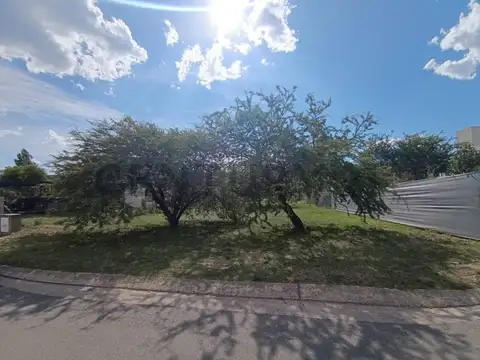 Terreno en Venta de 800,0 m2