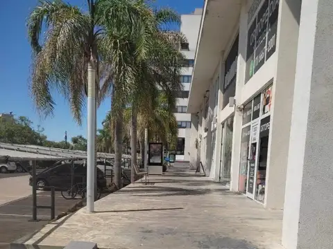 North Coral Plaza Offices 433203ncp 100